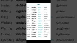 learn  verbs in tamil sinhala and English #easytamil #tamil #learning #sinhala  #english #දෙමළ