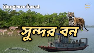 সুন্দর বন বিশ্বের সবচেয়ে বড় ম্যানগ্রোভ বন।The biggest Sundarbans in Bangladesh.🐯🦌 Land of bengal