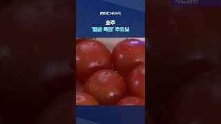 무심코 간식 넣었다가.. #Shorts (MBC뉴스)