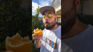 Want to try myoranges?#trending #funnyideas #funnyfunnythestupids