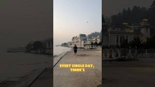 YouVSYou #motivation #aiproductivity #grindmode #motivation2025 #freeaitools #shortsviral