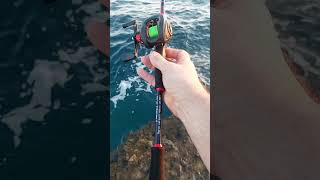 SOUGAYILANG - cheap baitcasting kit for beginners.