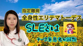 【SLEの症状】難病,全身性エリテマトーデスとは　SLEナースが解説します🌸