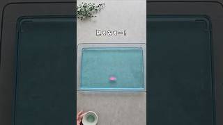 【何でかわかる？家にある物で簡単実験】 #おうち遊び #親子遊び #実験遊び #知育遊び