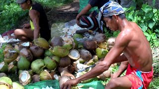 Buhay Probinsya /Pagsasaka ng niyog/Copra serye(Maibordz)