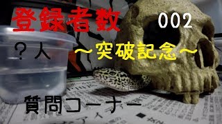 【〇人突破記念】レオパ観察日記002 質問コーナー