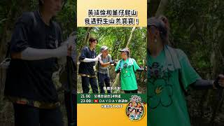 爬山遇到超珍貴山羌寶寶！董仔和黃靖倫太幸運！ #廣告START #shorts