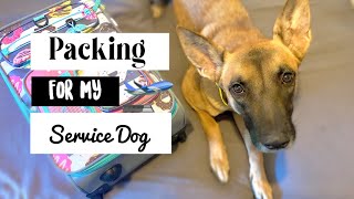 Packing for my Service Dog | What am I bringing?