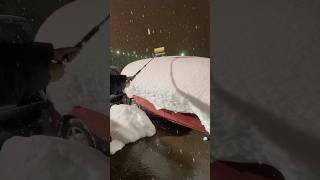 日本一雪に詳しい友達　#新潟 #雪 #侍 #日本一 #ゾロ #snow #shorts