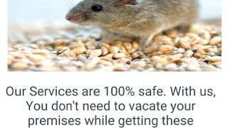 Mouse Exterminator Vancouver BC