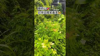 陽明山 台灣 台湾 台北 Taiwan Taipei Yangmingshan 대만 타이베이 양명산