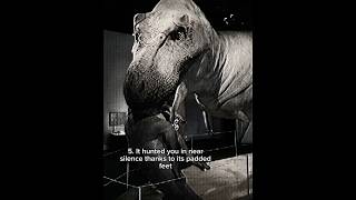 Scary facts about the deadliest animal ever , T-Rex #tyrannosaurus #dinosaur #trex