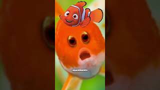 If animals had eyes in front #animals #memes