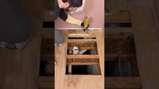 Toilet Subfloor Repair Tips - #shorts #homerepairtutor #brandpartner