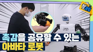 [핫클립] 로봇이 느끼는 촉감을 사람이 느낄 수 있다? / YTN 사이언스