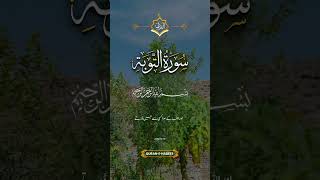 Surah Toba verses (18) #surahtoba #quran #quransurah #youtubeshorts #shorts