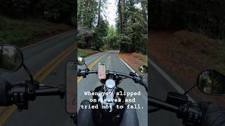 2023 Fat Bob 114. #fatbob #harleydavidson #motorcycle #nature #travel