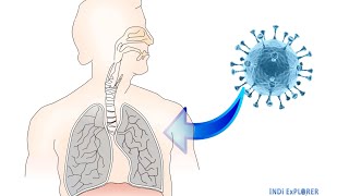 COVID - 19 : The Novel Corona Virus...Precautions and Symptoms...Be careful and stay safe #IndiExp