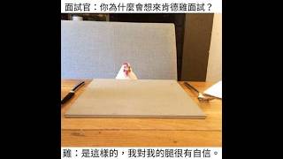 【迷因梗圖合輯 EP.4 】 memes #梗圖 #迷因 #搞笑