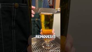 The Perfect Beer 🤤