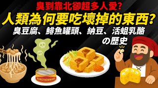 臭到靠北卻超多人愛【人類為何要吃壞掉的東西？】臭豆腐、鯡魚罐頭、納豆、活蛆乳酪の歷史