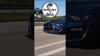 "Exclusive First Look at the 2025 Shelby GT500 Ultimate!"