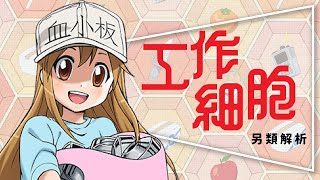 🦠劇評🦠工作細胞：邊笑邊讚嘆人體奧妙｜看劇就能變健康｜紅白血球的禁忌之戀｜はたらく細胞