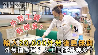 香港輸入勞工計劃對本地工人的影響 澳門經驗香港可借鑑？｜新聞 | 時事 | 資訊節目 | 新聞透視｜News Magazine