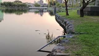 2024/11/30台中一日遊2(3)