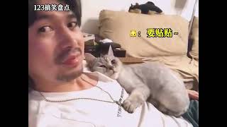 盘点猫咪治愈感人瞬间#是宠物更是家人 #萌宠 #暖心瞬间#宠物 #搞笑 #奇妙的动物行为