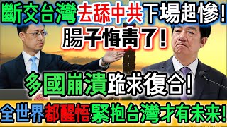 哎呀媽呀！笑瘋了！全世界終於醒悟了！緊抱台灣才有未來！斷交台灣去舔中共下場超慘！多國崩潰跪求復合！腸子悔青了！原來台灣援助才是真實的！如今哭著求回頭！緊抱台灣不敢再亂來！｜Reaction Video