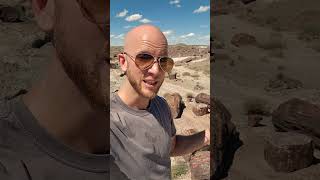 Petrified Forest [Arizona] #science #geology #nationalpark