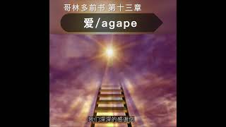 天父的爱-----agape-读经分享