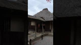 【ショート動画】京都祇園の観光スポット（高台寺霊屋、茶室傘亭、時雨亭） #shorts