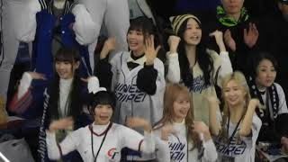 【熱狂7分間】台湾チア来日＆チャンスで爆盛り上がり😍可愛すぎる応援団に日本、台湾のファンが殺到してしまう！　WBSC Premier12 東京ドームJapan vs Taiwan