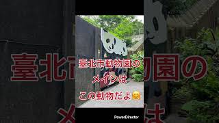 2025GW 台北🇹🇼家族旅行その6 旅行2日目　大好きなパンダに会いに行ったよ　#台北 #台湾 #家族旅行