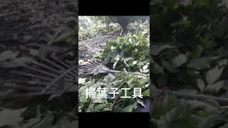 早上繼續工作，還是沒做完