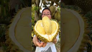 Amazing Durian Fruit  Farming | World Smelliest  Fruit #shorts #fruit #youtubeshorts