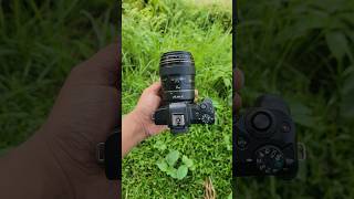 canon m50 + canon 85mm 1.8