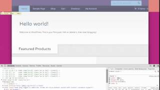 How to use Google's Inspect Element with Wordpress