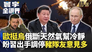 【精選】戰事入冬.普丁斷天然氣讓歐洲"冷靜"想想！ 全球盼習近平出手調停 豬隊友不斷扯後腿？#寰宇全視界 #寰宇新聞