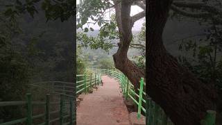 downstairs route to mallelatheertham waterfalls #srisailamtrip #rakee #shorts