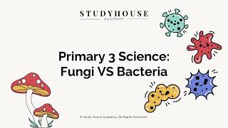 Bacteria VS Fungi | Primary 3 | Learn with Study House Academy