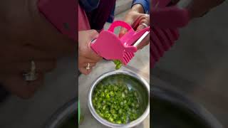 * DIY green chilli cutter machine