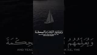Quran Lines | Islamic Shorts Status | Islamic Videos | Quran Tilawat | Beautiful Quran