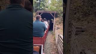 Redwood Valley Railway #railway #Berkeley