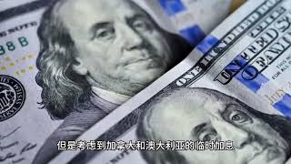 财经知识分享平台