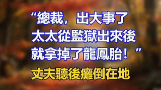 【完結】“總裁，出大事了，太太從監獄出來後，就拿掉了龍鳳胎！”丈夫聽後癱倒在地#完結#情感故事#一口氣看完 #爽文