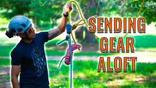 Tree Work Tips: Sending Gear Aloft!
