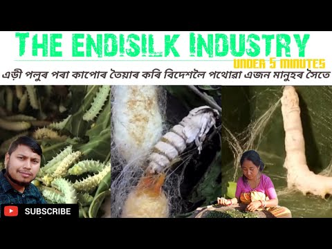 এড়ী পলুৰ পৰা কাপোৰ তৈয়াৰ কৰি বিদেশলৈ পথোৱা মানুহ জন 🤨 | Old Tradition | How to make Eri Clothes